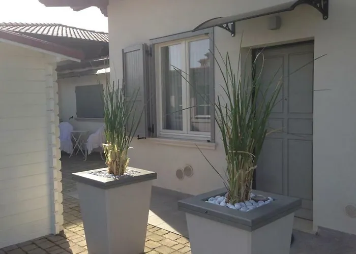 Sonomusica Oda ve Kahvaltı